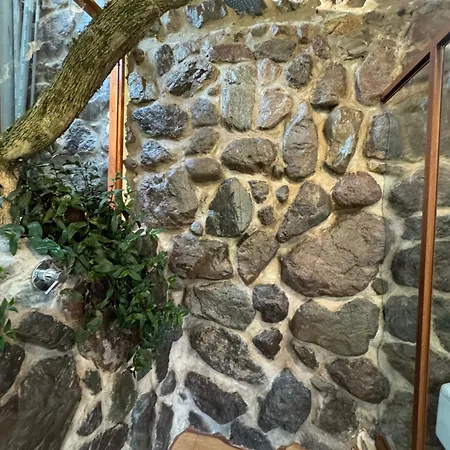 Spirit Of The River Lodge Cuzco Room photo